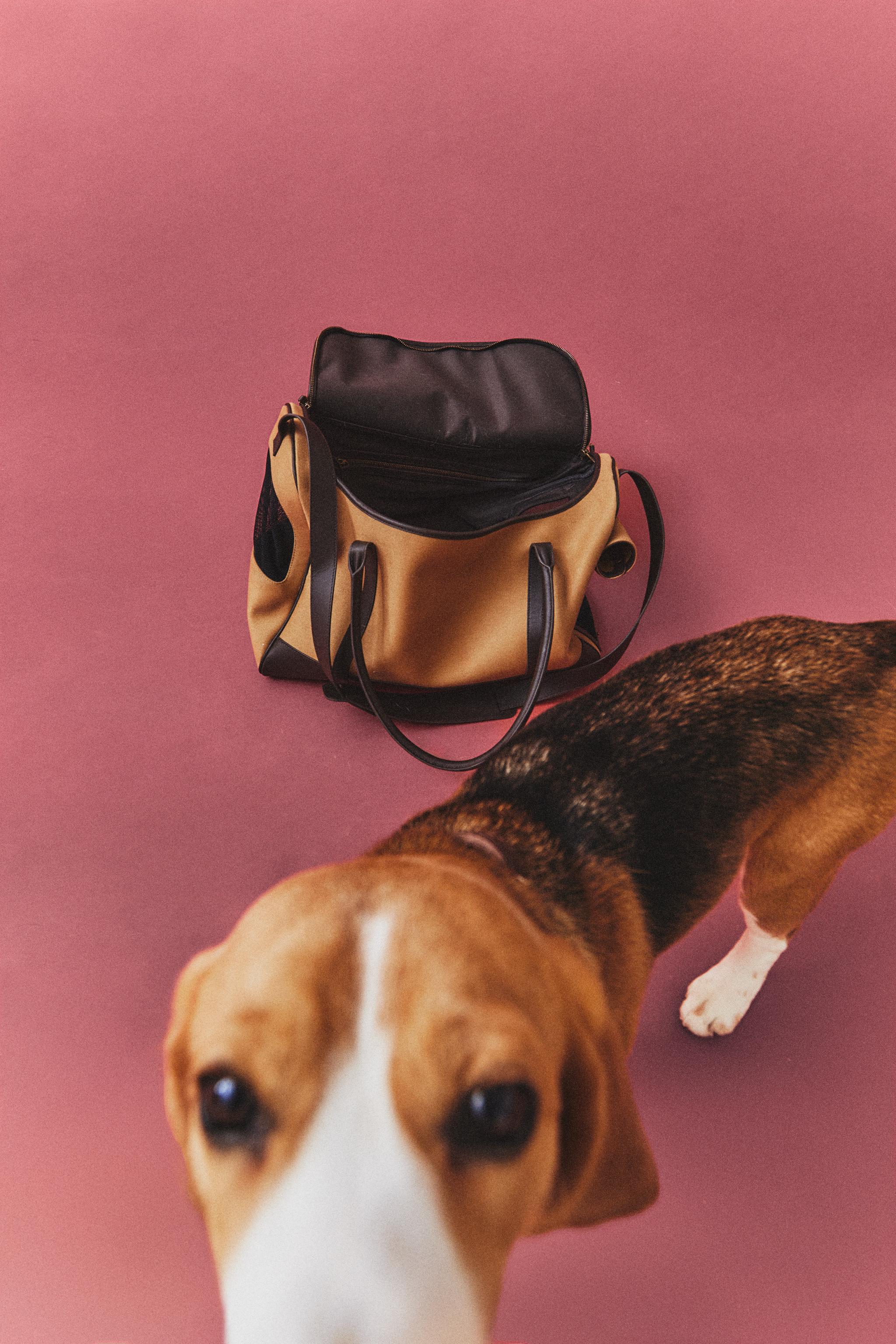 SAC DE TRANSPORT EN CUIR POUR ANIMAUX